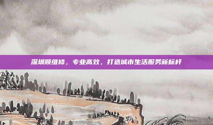 深圳顺维修,专业高效,打造城市生活服务新标杆