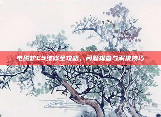 电磁炉E5维修全攻略,问题排查与解决技巧