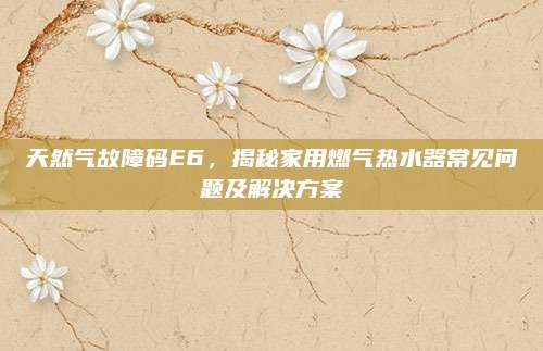 天然气故障码E6,揭秘家用燃气热水器常见问题及解决方案