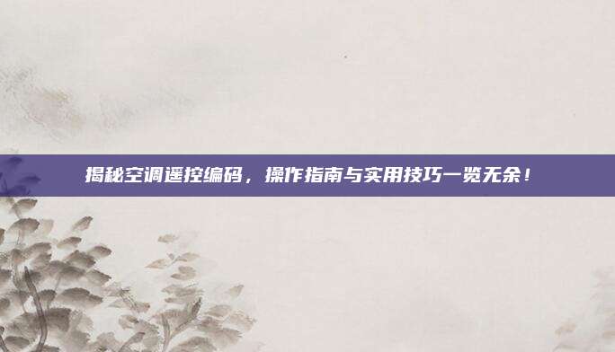 揭秘空调遥控编码，操作指南与实用技巧一览无余！