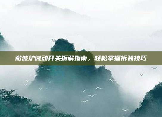 微波炉微动开关拆解指南,轻松掌握拆装技巧