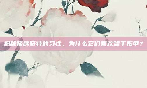 揭秘猫咪奇特的习性,为什么它们喜欢舔手指甲?