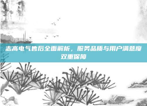 志高电气售后全面解析,服务品质与用户满意度双重保障