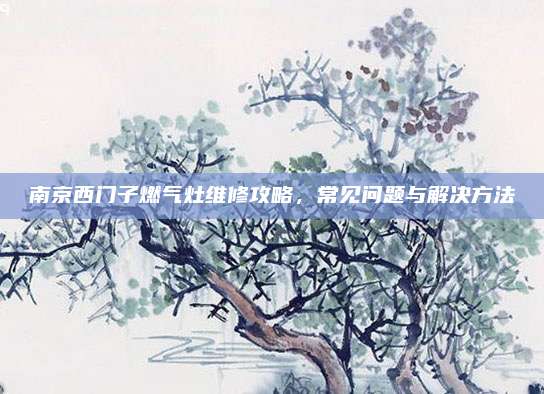 南京西门子燃气灶维修攻略,常见问题与解决方法