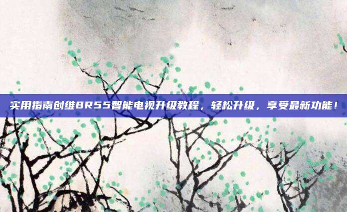 实用指南创维8R55智能电视升级教程,轻松升级,享受最新功能!