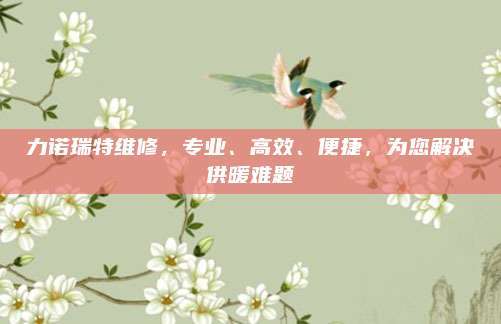 力诺瑞特维修,专业、高效、便捷,为您解决供暖难题