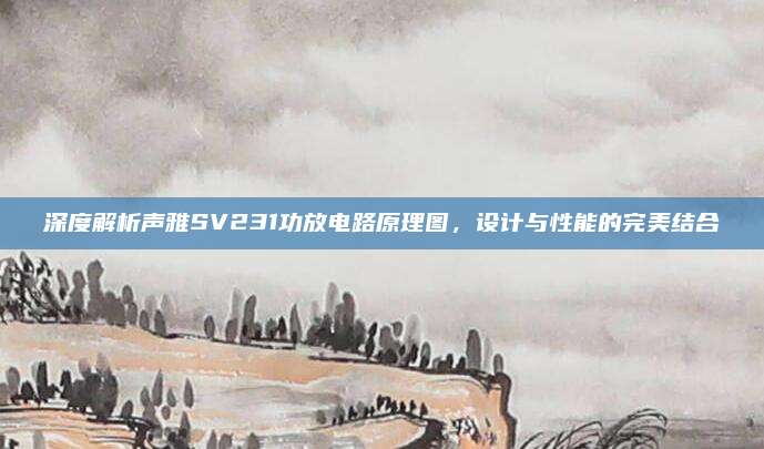 深度解析声雅SV231功放电路原理图,设计与性能的完美结合