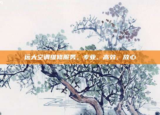 远大空调维修服务,专业、高效、放心