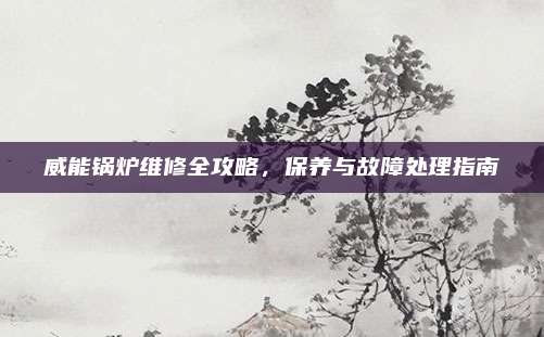 威能锅炉维修全攻略,保养与故障处理指南