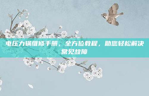 电压力锅维修手册,全方位教程,助您轻松解决常见故障