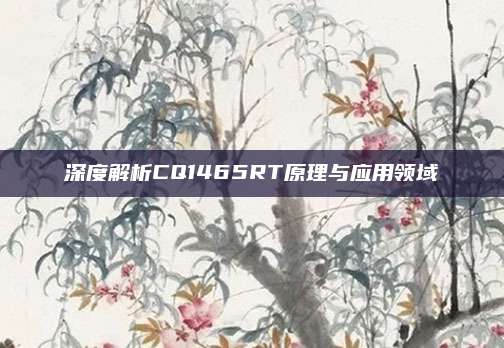 深度解析CQ1465RT原理与应用领域