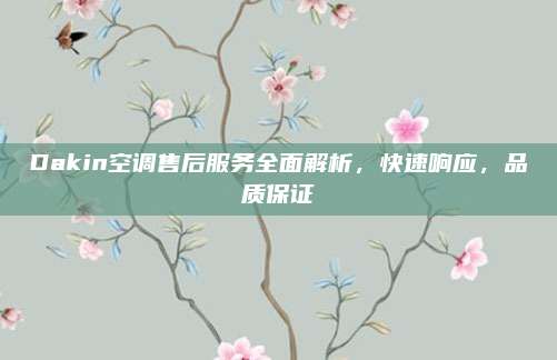 Dakin空调售后服务全面解析,快速响应,品质保证