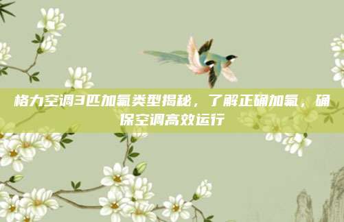 格力空调3匹加氟类型揭秘,了解正确加氟,确保空调高效运行