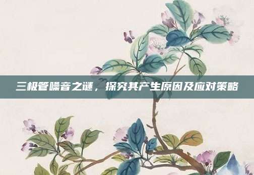 三极管噪音之谜,探究其产生原因及应对策略