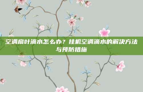 空调扇叶滴水怎么办?挂机空调滴水的解决方法与预防措施