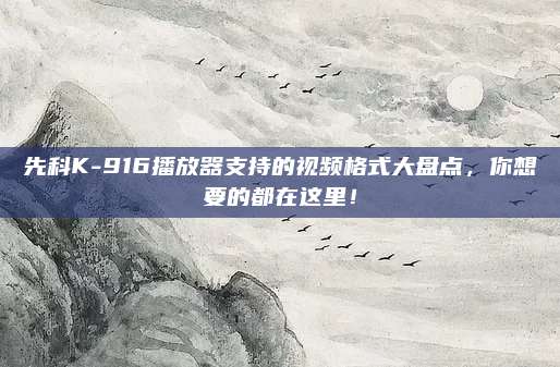 先科K-916播放器支持的视频格式大盘点,你想要的都在这里!