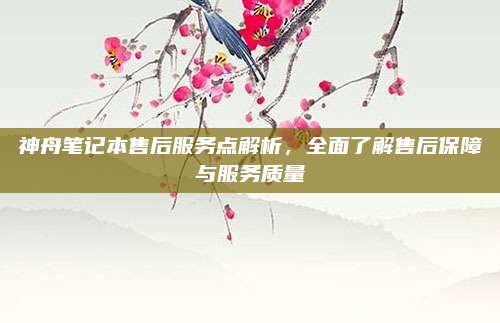 神舟笔记本售后服务点解析,全面了解售后保障与服务质量