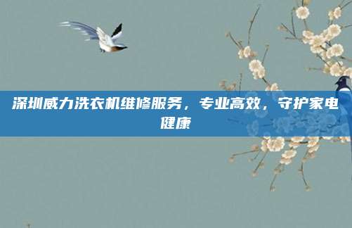 深圳威力洗衣机维修服务,专业高效,守护家电健康