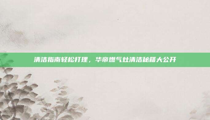 清洁指南轻松打理,华帝燃气灶清洁秘籍大公开