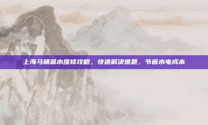 上海马桶漏水维修攻略,快速解决难题,节省水电成本