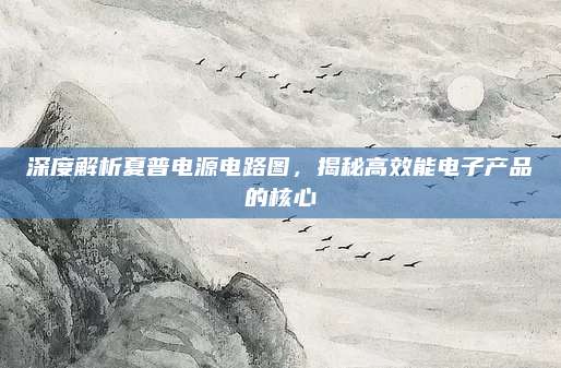 深度解析夏普电源电路图,揭秘高效能电子产品的核心