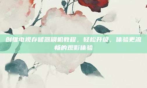 创维电视存储器刷机教程,轻松升级,体验更流畅的观影体验