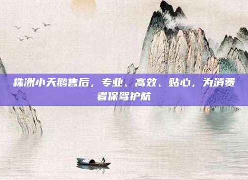 株洲小天鹅售后，专业、高效、贴心，为消费者保驾护航