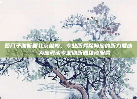 西门子助听器北京维修,专业服务保障您的听力健康——为您解读专业助听器维修服务
