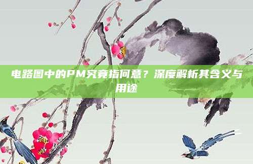 电路图中的PM究竟指何意?深度解析其含义与用途