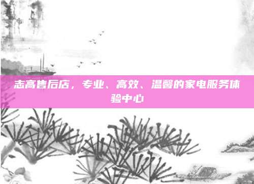 志高售后店,专业、高效、温馨的家电服务体验中心
