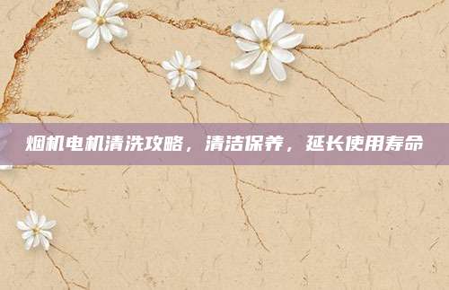 烟机电机清洗攻略,清洁保养,延长使用寿命