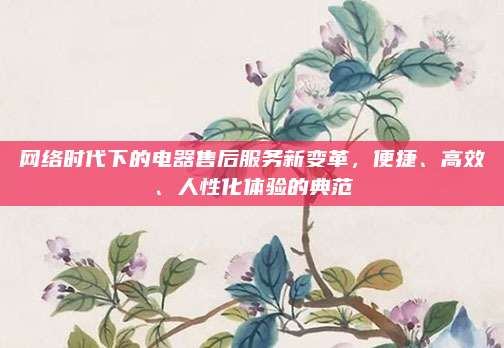 网络时代下的电器售后服务新变革,便捷、高效、人性化体验的典范