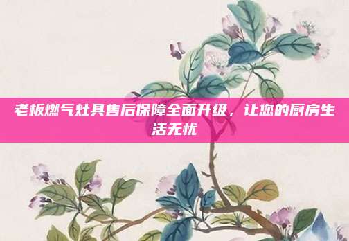 老板燃气灶具售后保障全面升级,让您的厨房生活无忧
