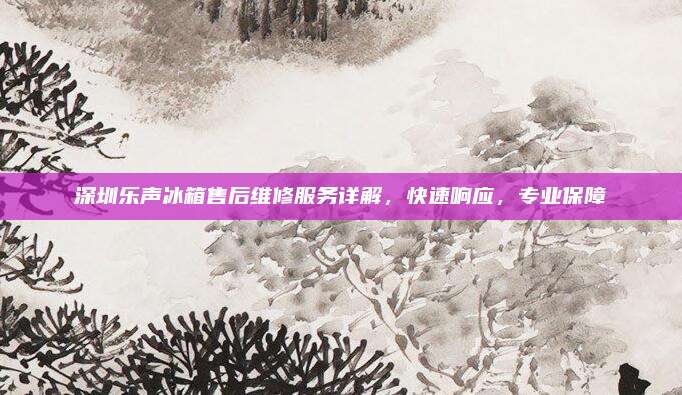 深圳乐声冰箱售后维修服务详解,快速响应,专业保障