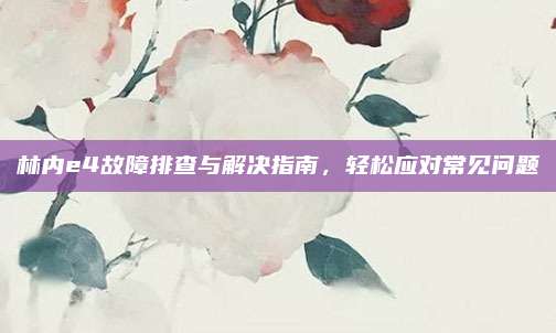 林内e4故障排查与解决指南,轻松应对常见问题