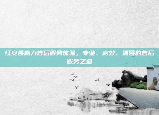 红安县格力售后服务体验,专业、高效、温馨的售后服务之道