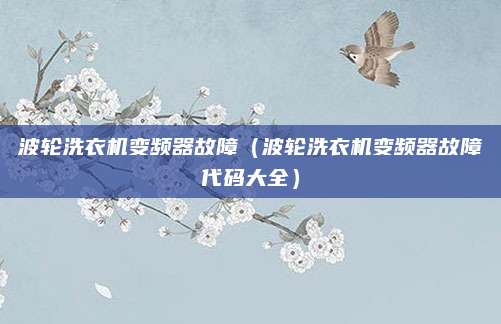 波轮洗衣机变频器故障（波轮洗衣机变频器故障代码大全）