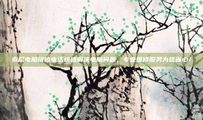 索尼电脑维修电话快速解决电脑问题,专业维修服务为您省心!