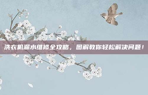 洗衣机漏水维修全攻略,图解教你轻松解决问题!