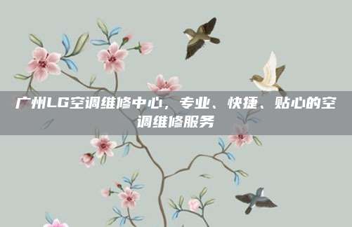 广州LG空调维修中心,专业、快捷、贴心的空调维修服务