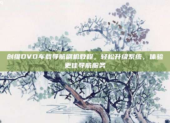 创维DVD车载导航刷机教程,轻松升级系统,体验更佳导航服务