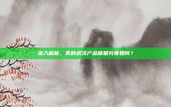 深入解析,美的武汉产品质量究竟如何?