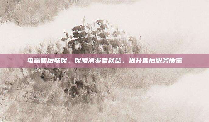 电器售后联保，保障消费者权益，提升售后服务质量