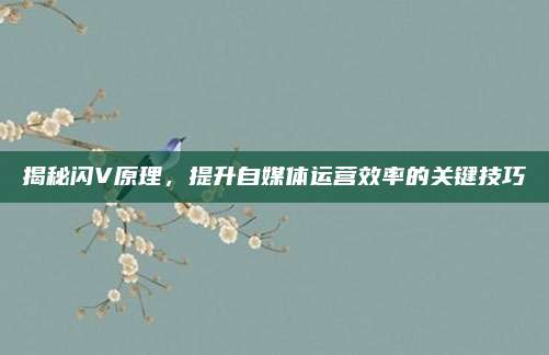 揭秘闪V原理，提升自媒体运营效率的关键技巧