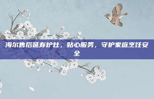 海尔售后延寿炉灶,贴心服务,守护家庭烹饪安全