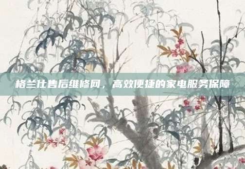 格兰仕售后维修网,高效便捷的家电服务保障