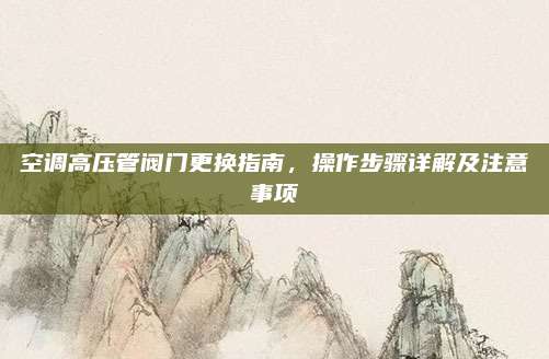 空调高压管阀门更换指南,操作步骤详解及注意事项