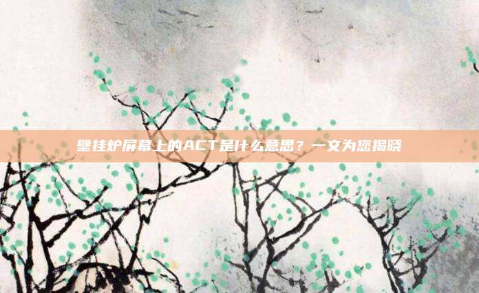 壁挂炉屏幕上的ACT是什么意思?一文为您揭晓