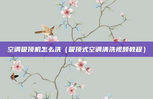 空调吸顶机怎么洗（吸顶式空调清洗视频教程）