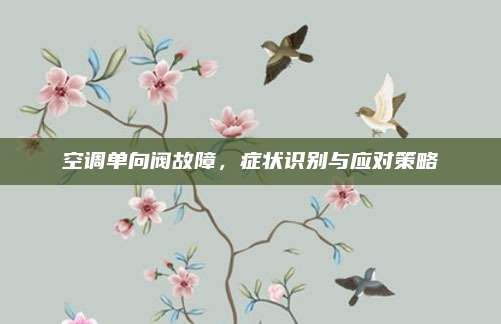 空调单向阀故障,症状识别与应对策略